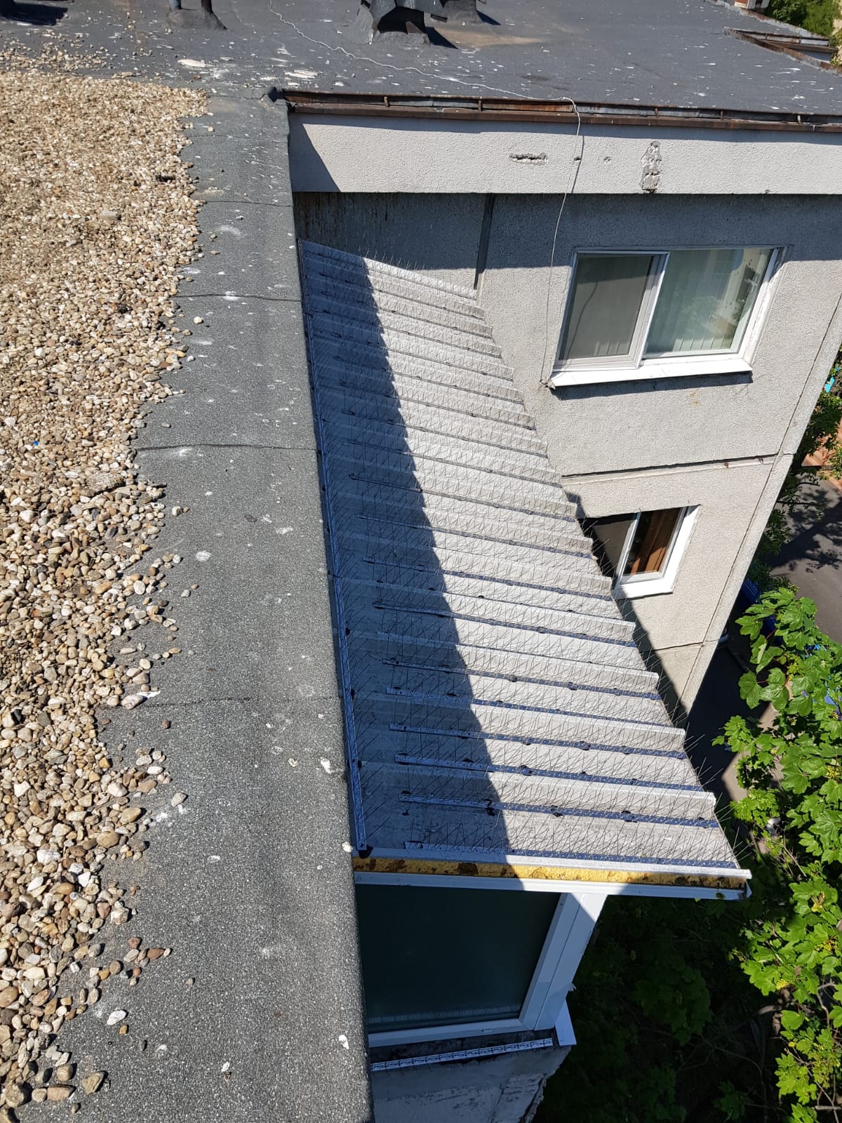 Sisteme anti-pasari montate