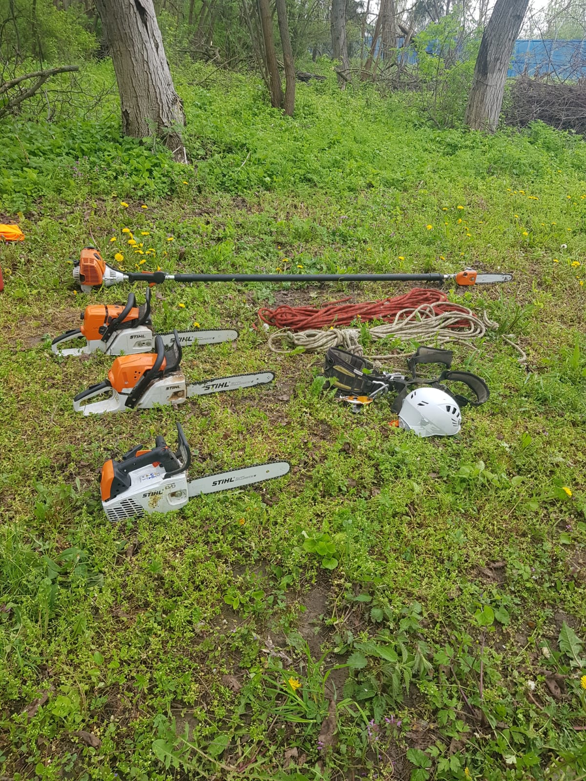 Arborist profesional